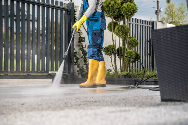 Best Pool Deck Cleaning  in Port Norris, NJ